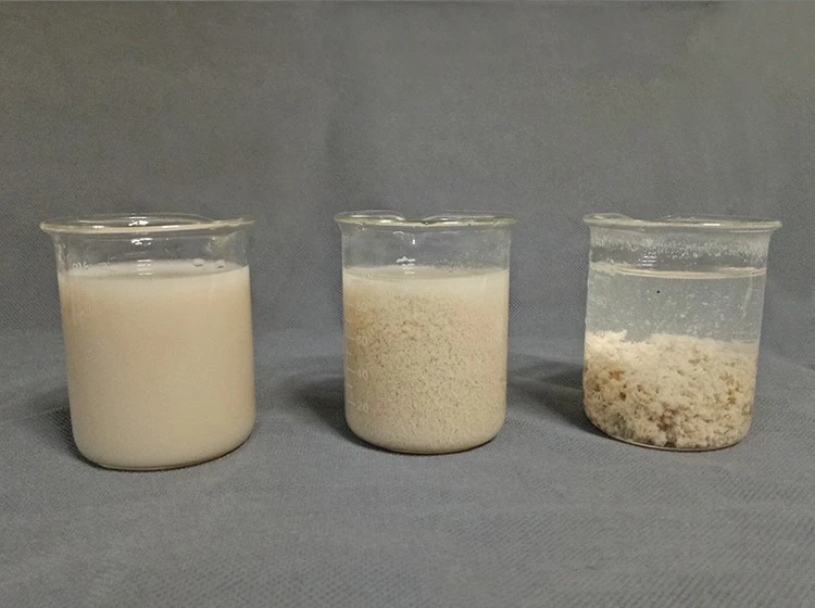 Cationic Partially Hydrolyzed Polyacrylamide (3)